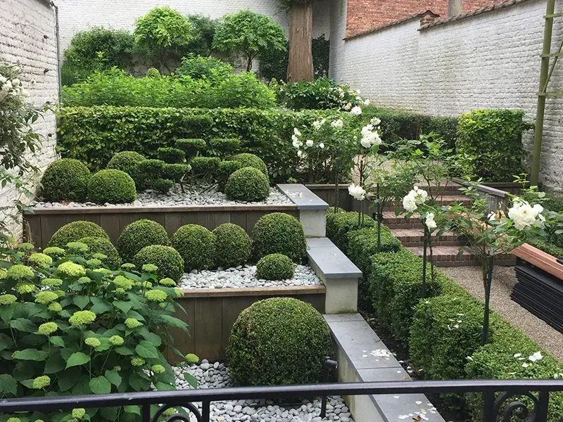 Création de jardin près de Rhode-Saint-Genèse
