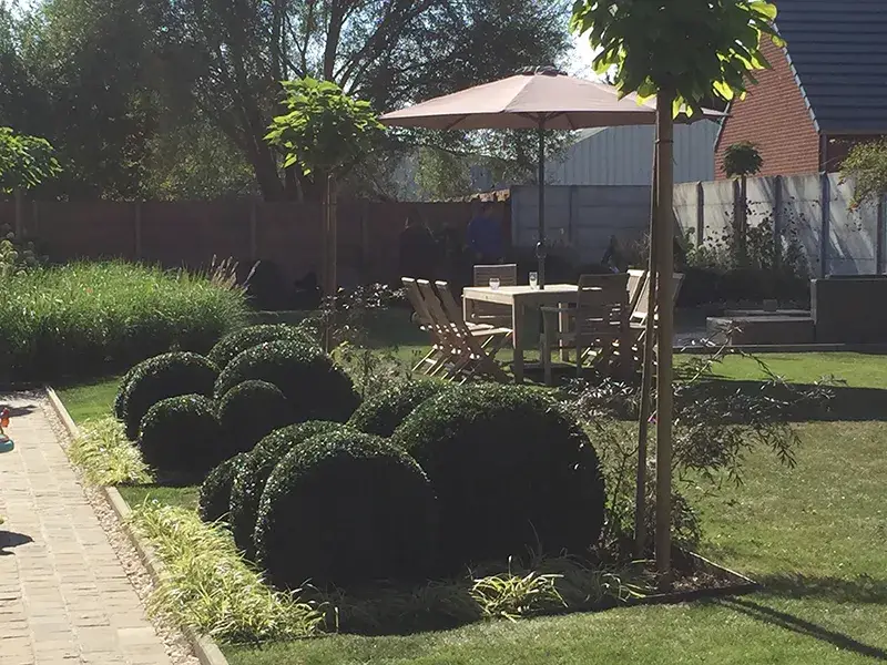 Jardin