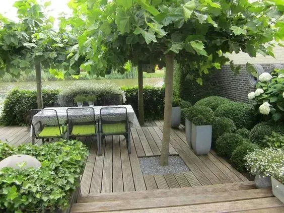 Terrasse bois végétale