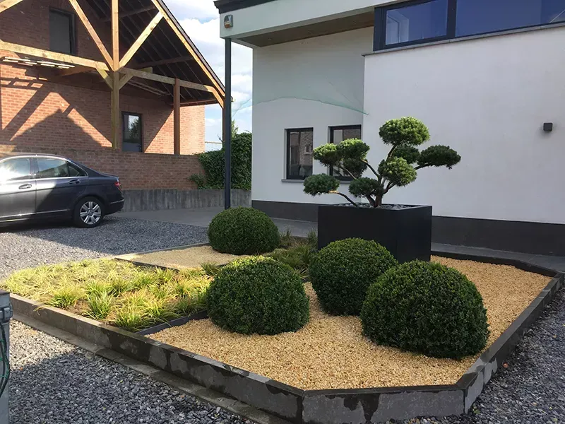 Devanture de maison végétale