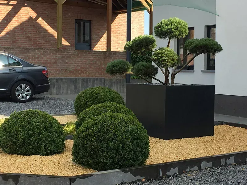 Jardin
