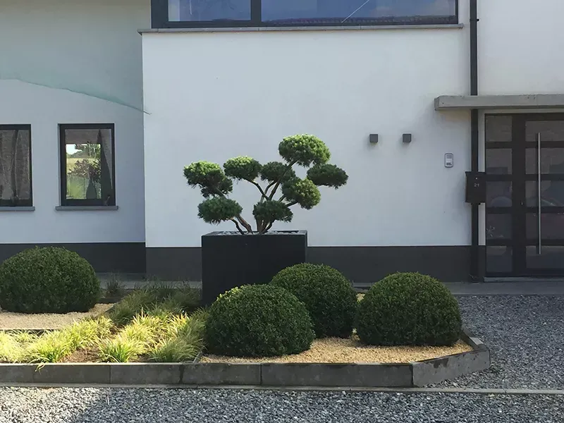 Jardin paysagiste moderne