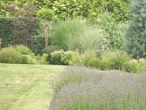 Jardin végétation