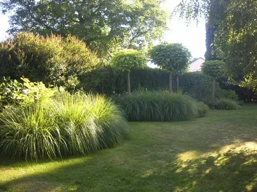Jardin végétation paysagiste