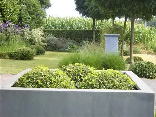 Jardin végétal