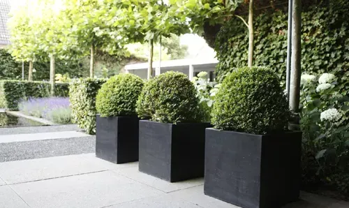 Terrasse végétale bacs