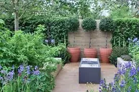 Jardin aménagé