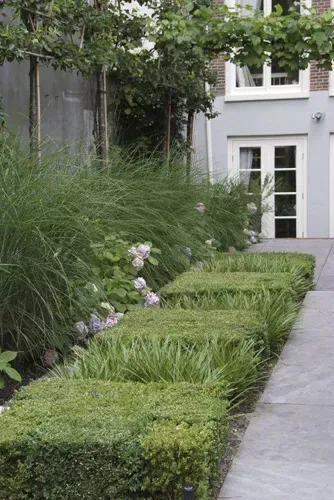 Plantes jardin