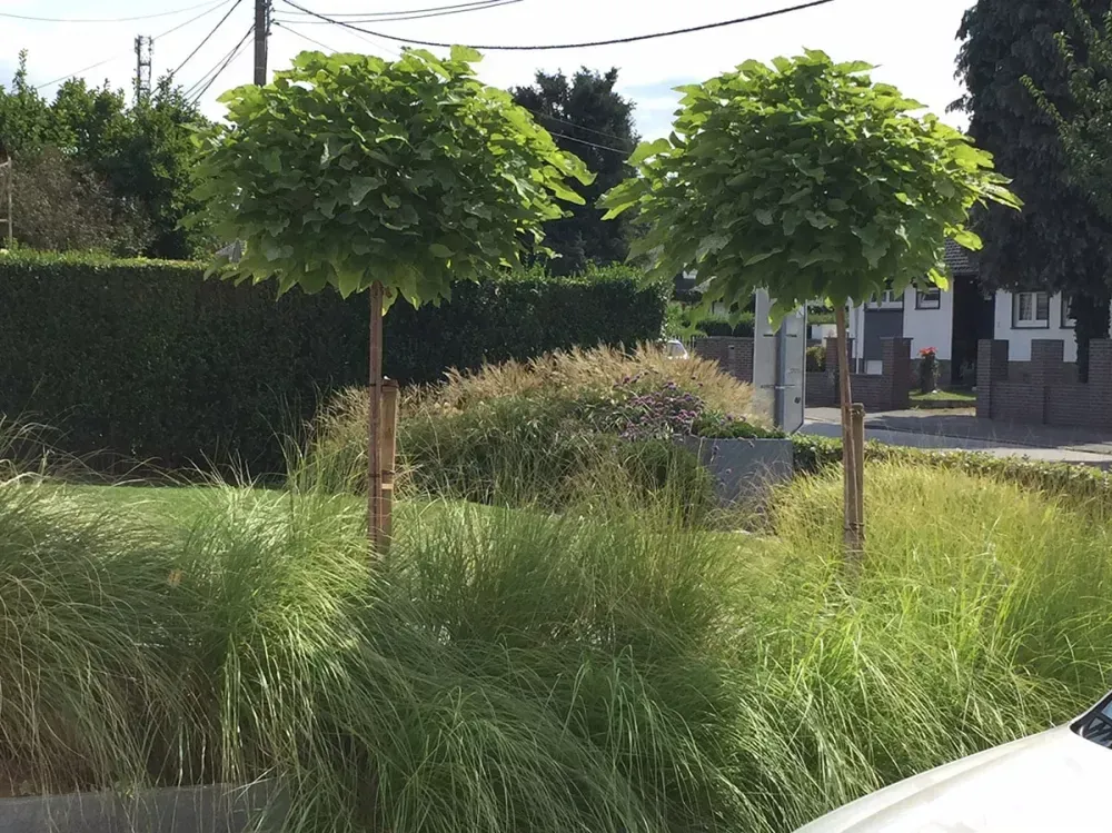 Jardin paysagiste