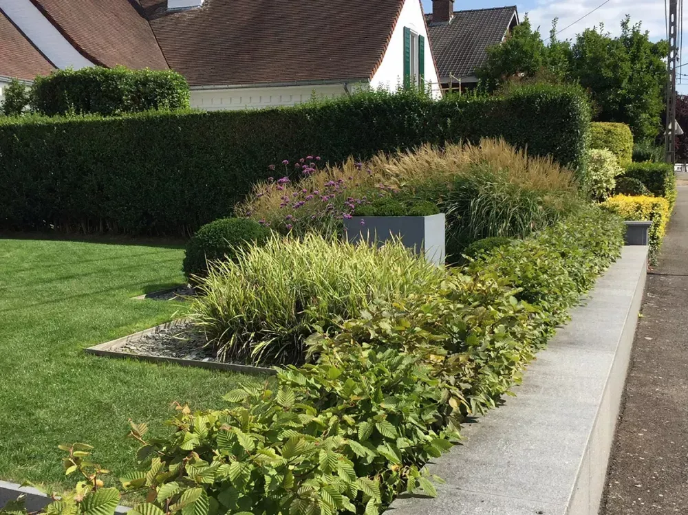 Jardin paysagiste
