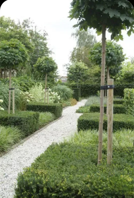 Jardin aménagé paysagiste