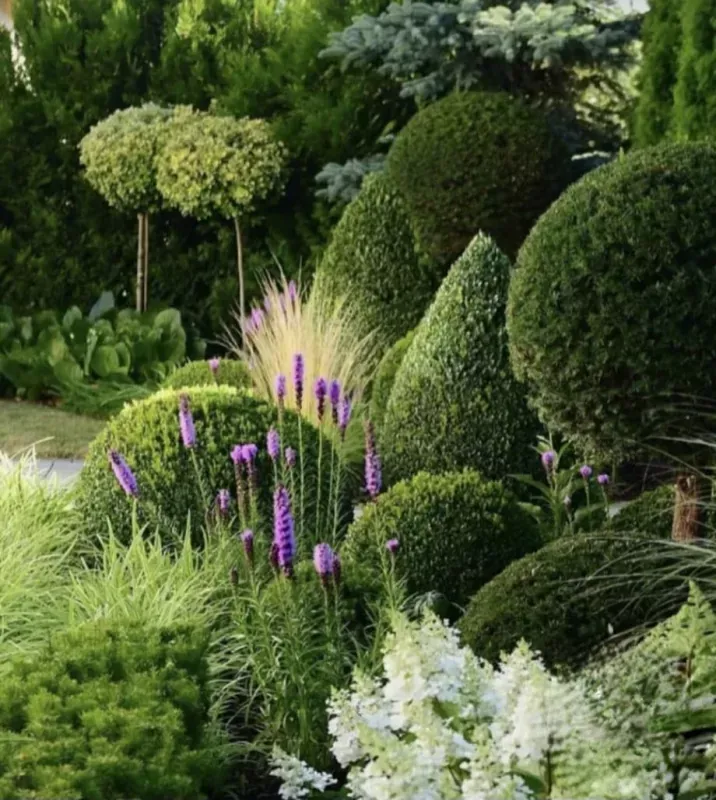 Jardin paysagiste